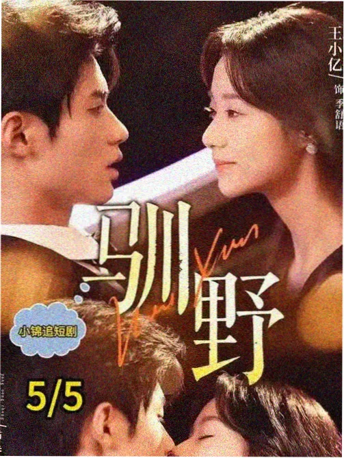 国产年代剧春潮漫过旧码头高清封面